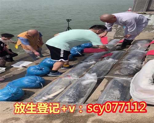 南京哪里可以放生松鼠，南京渔民捕获1米多长“胭脂鱼王”已就地放生