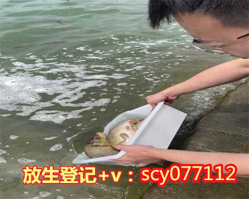 惠州哪里可以放生鱼呢