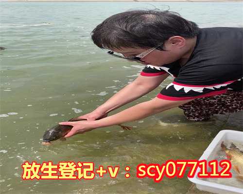 广州哪里适合放生泥鳅，广州慈光护生2010年5月30日放生公告
